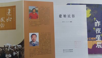 江山文学网官平著作