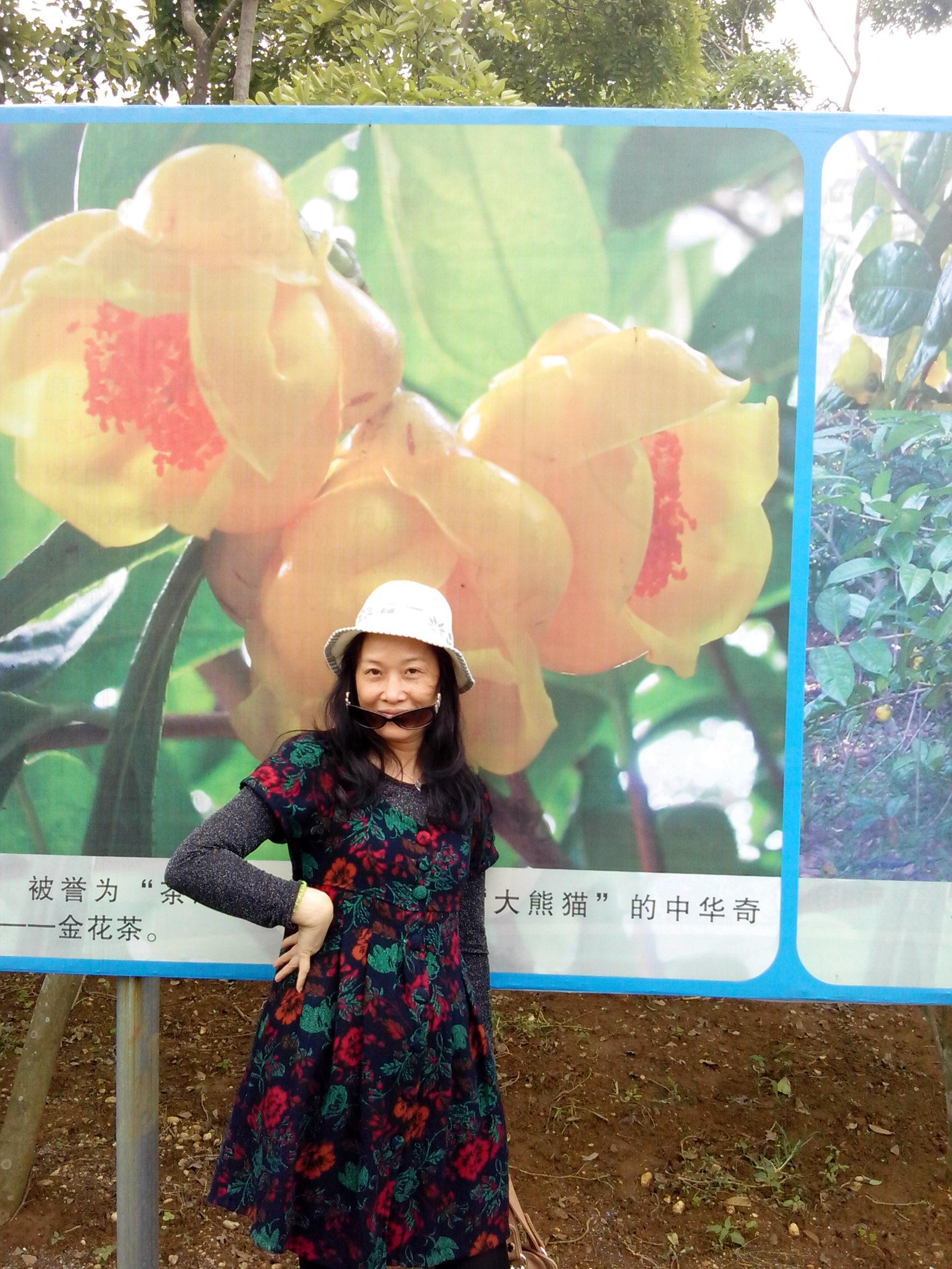 古灵精怪的围墙