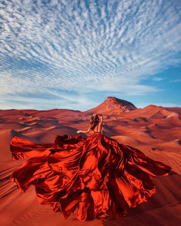 回归线上的风景